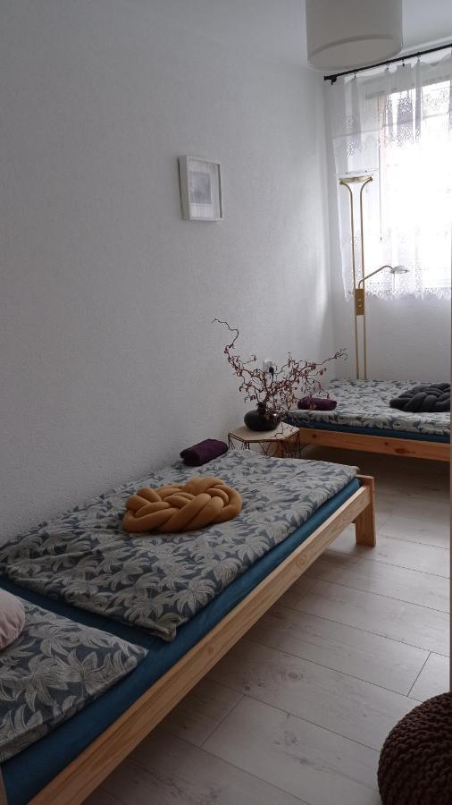 شقة Babcares Apa Gory Izerskie Mirsk المظهر الخارجي الصورة
