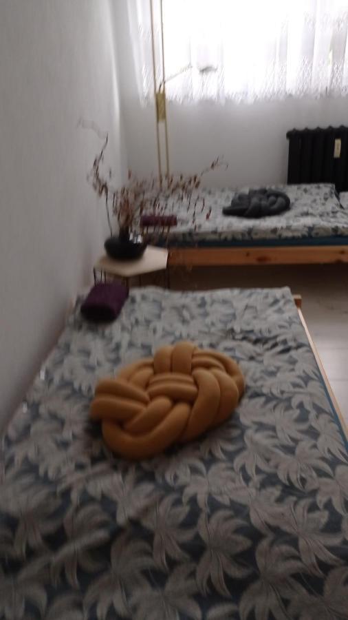 شقة Babcares Apa Gory Izerskie Mirsk المظهر الخارجي الصورة