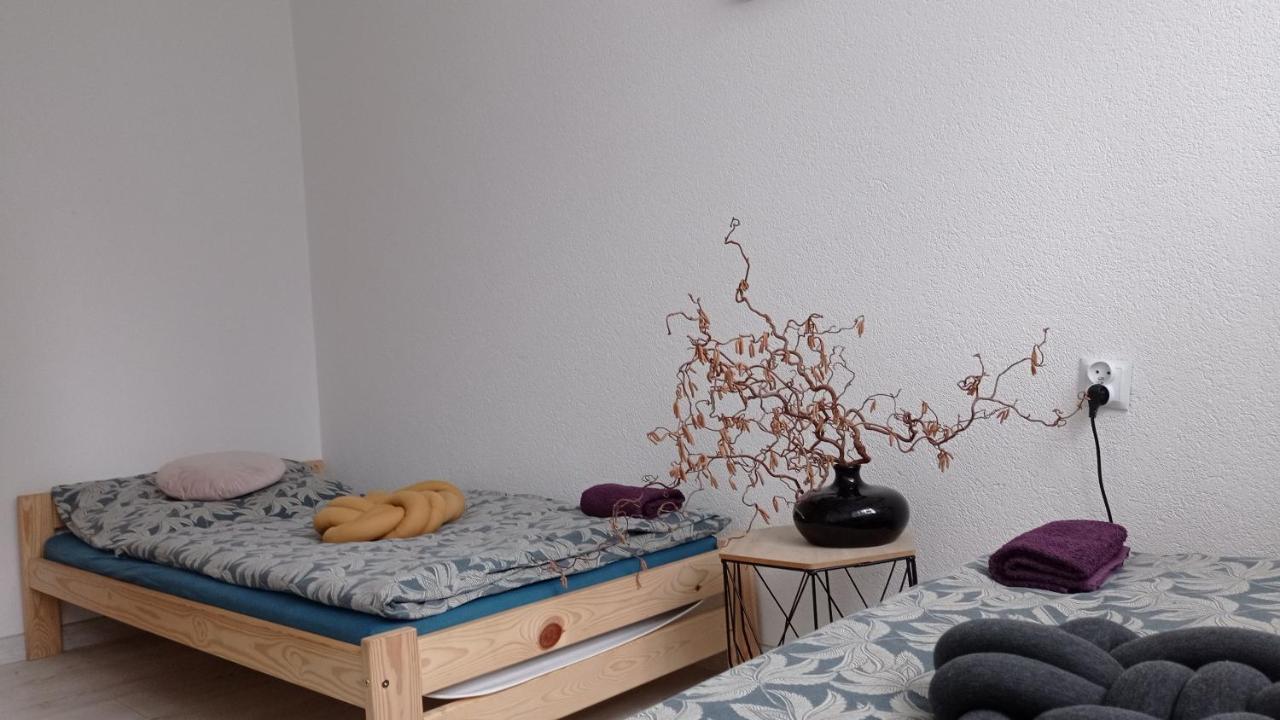 شقة Babcares Apa Gory Izerskie Mirsk المظهر الخارجي الصورة